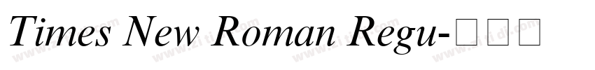 Times New Roman Regu字体转换